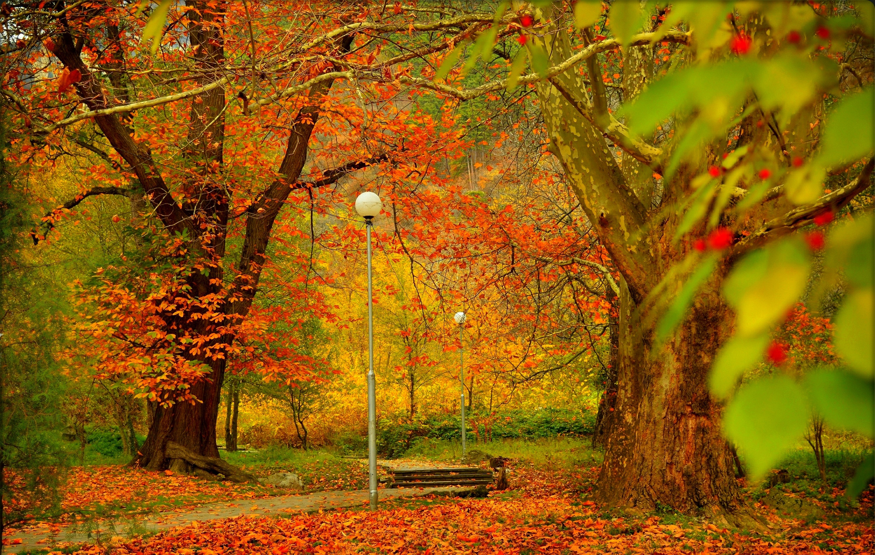 autumn-fall-park-colors-park-osen.jpg