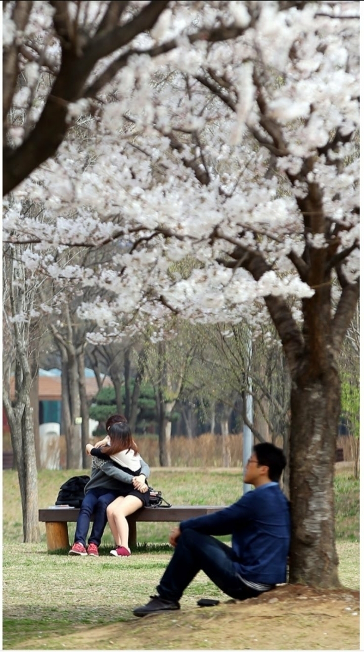 대한민국 퓰리처상 사진 모음:엑스팔육