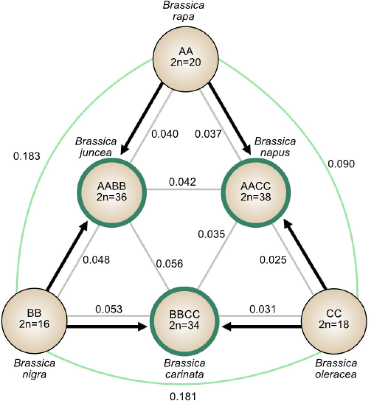 x86.co.kr_006.jpg