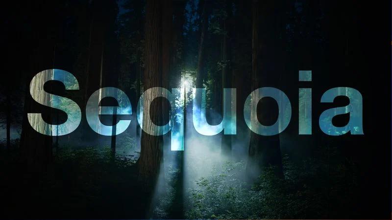 macOS-Sequoia-Night-Feature.webp.jpg