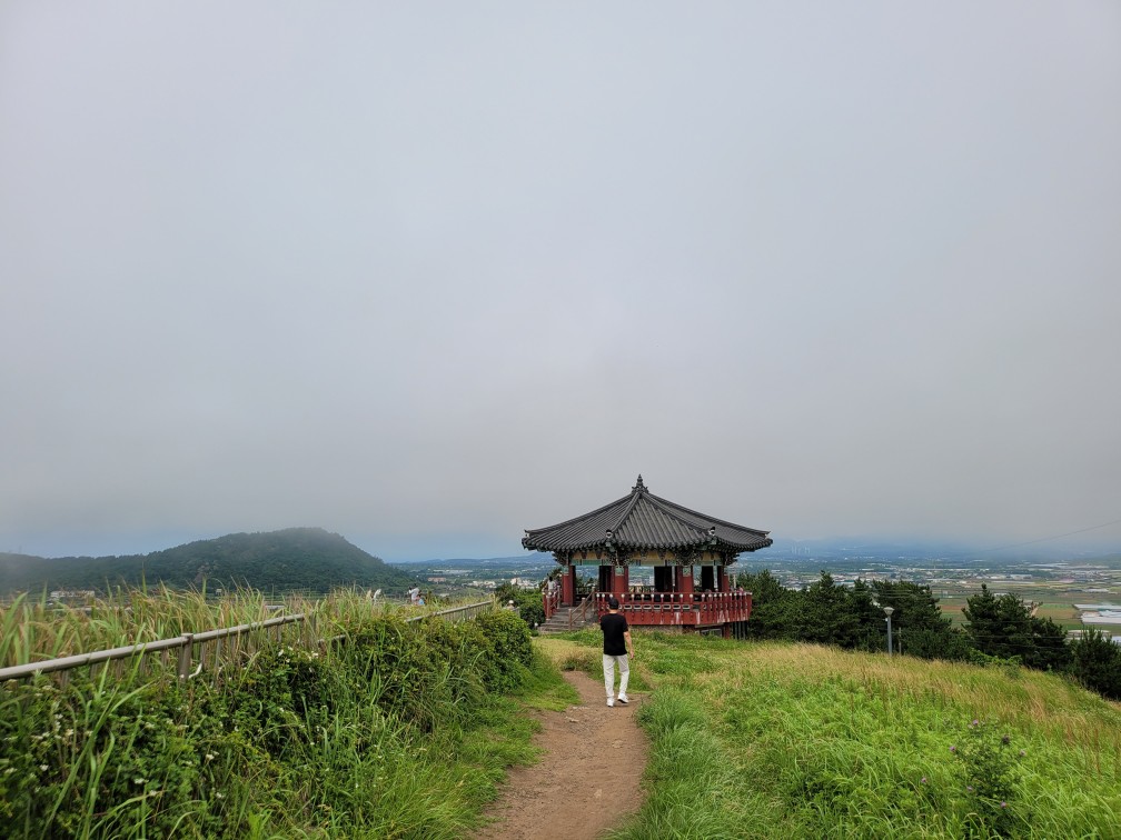 IMG_8501.jpeg