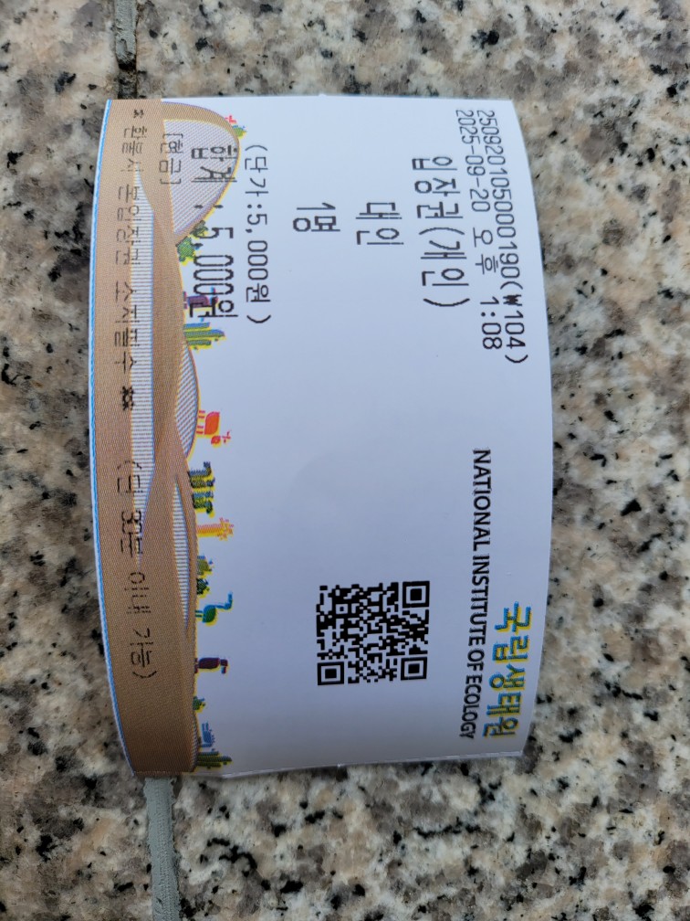 1758345965949.jpg