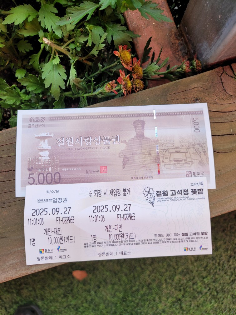 1758940882632.jpg