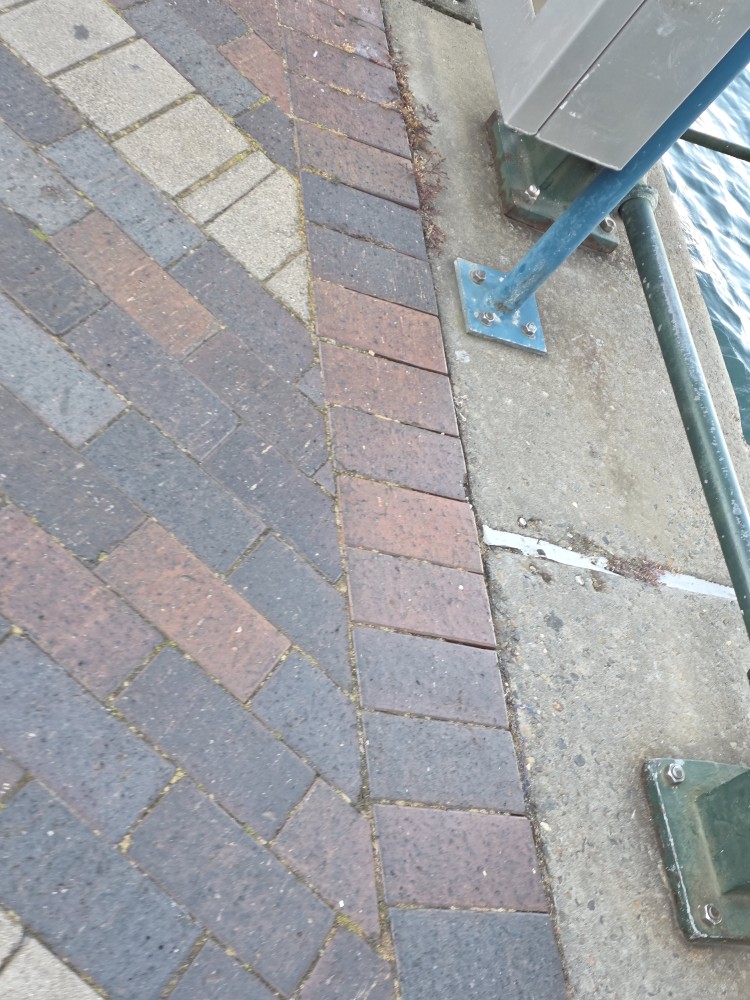1759478239783.jpg