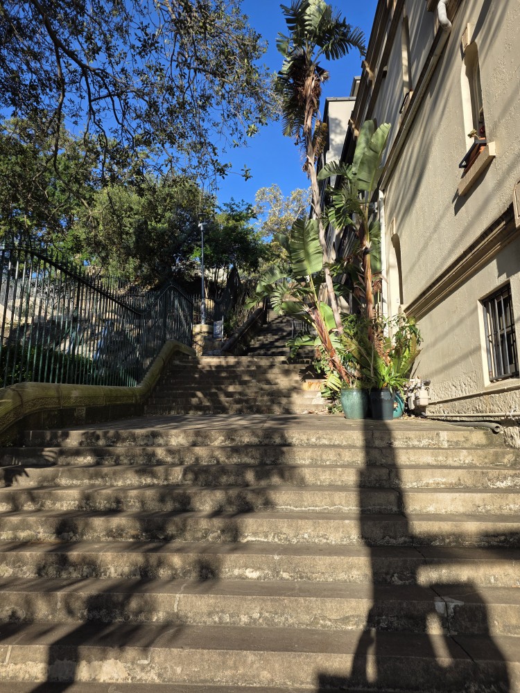 1759473789988.jpg