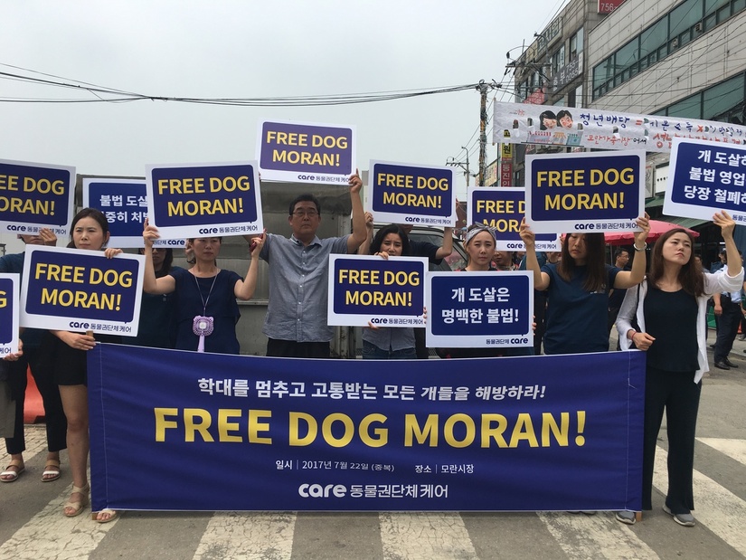 22일 동물권단체 케어가 경기도 성남 모란시장에서 기자회견을 열고 ‘학대를 멈추고 고통받는 모든 개들을 해방하라’는 의미의 ‘프리 독 모란(FREE DOG MORAN) 선언’을 발표했다. 사진 케어 제공.