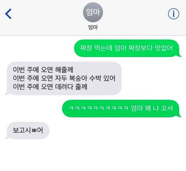 나왜꼬셔짤.jpg