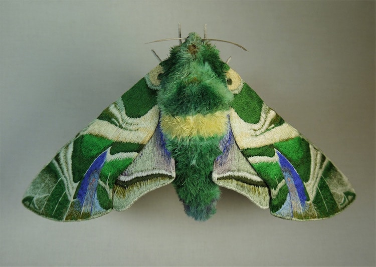 yumi-okita-felt-moth-sculptures-9.jpg