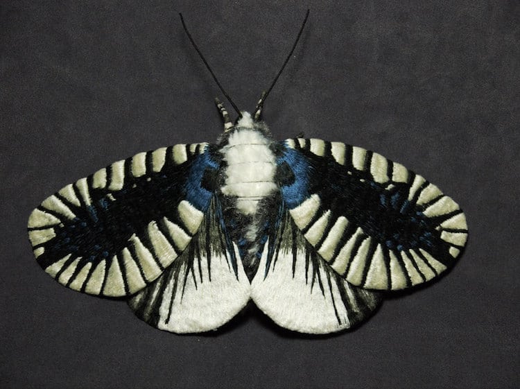 yumi-okita-felt-moth-sculptures-8.jpg