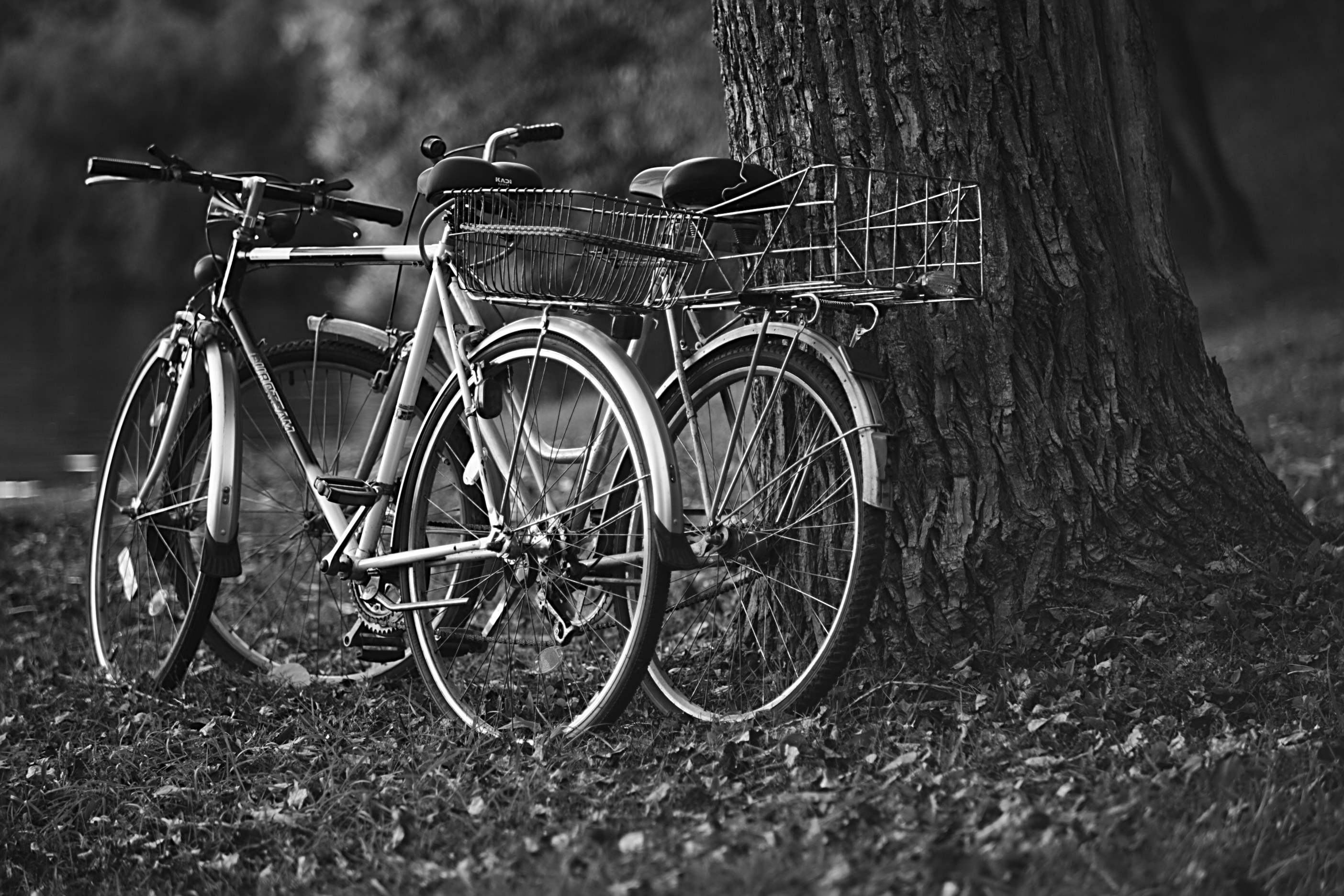 Excl_Vintage_Bicycles.jpg