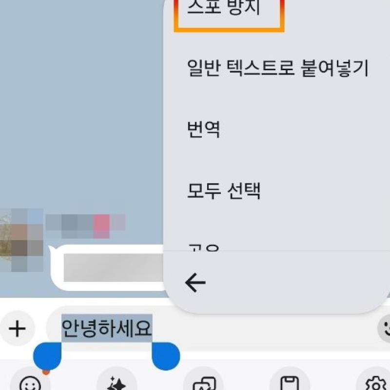 카톡 메시지, ‘모자이크’로 민감정보 가린다…스포 방지 기능 추가