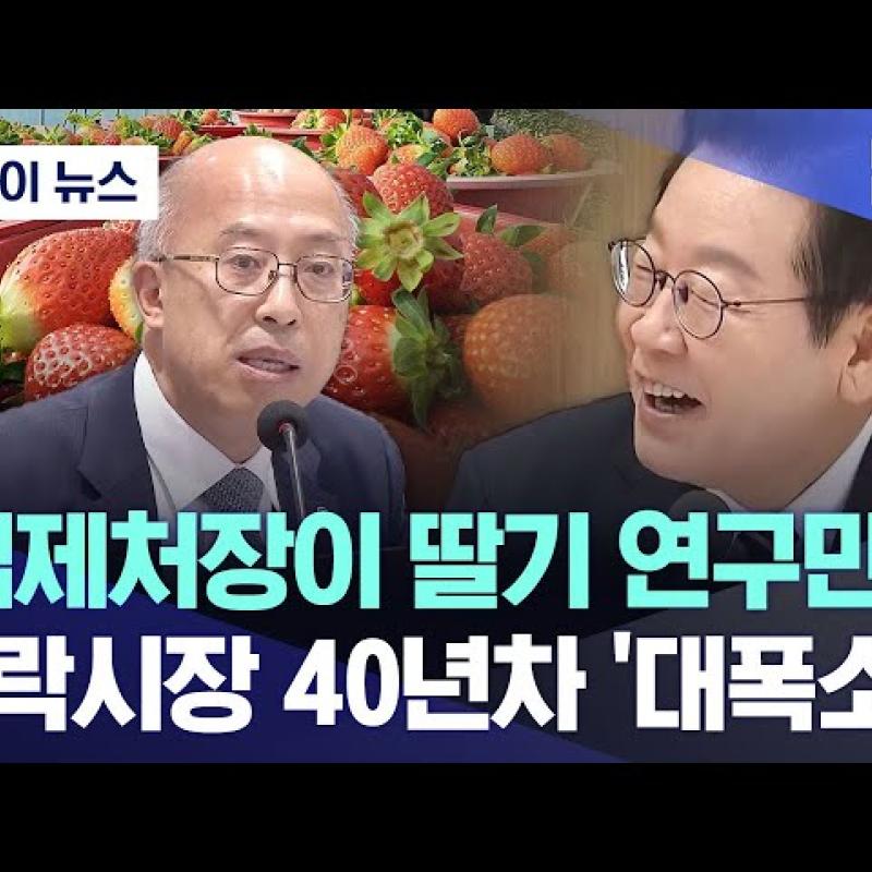 "법제처장이 딸기 연구만?".. 가락시장 40년차 '대폭소'